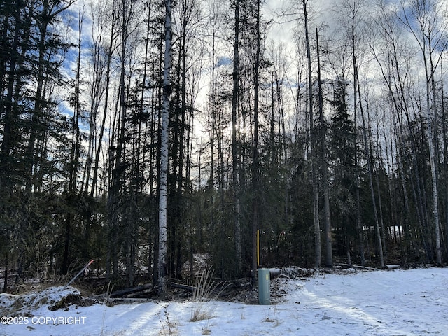 1101 N Brass Ring Dr, Wasilla AK, 99654 land for sale