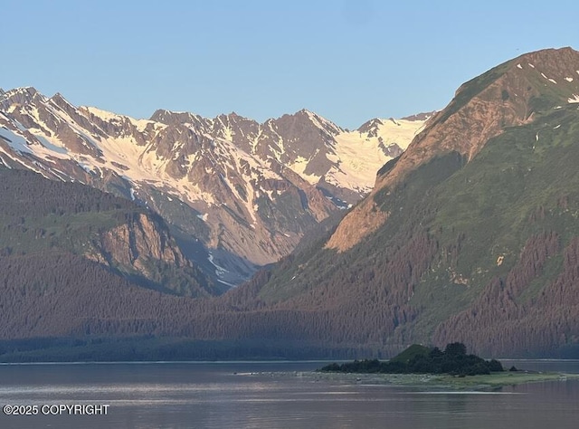 property view of mountains featuring a water view and a forest view