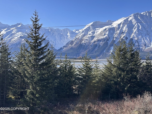 property view of mountains