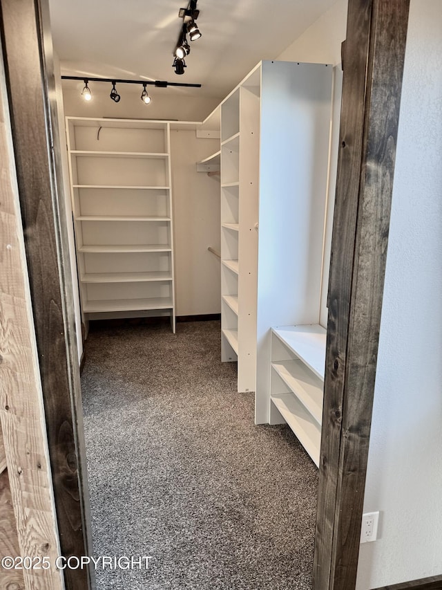 walk in closet featuring dark colored carpet