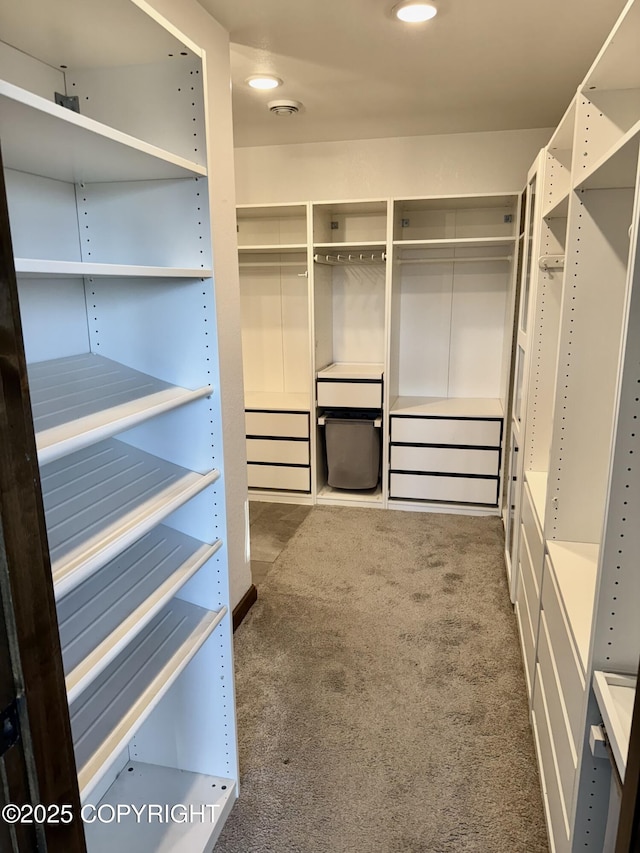 walk in closet featuring carpet