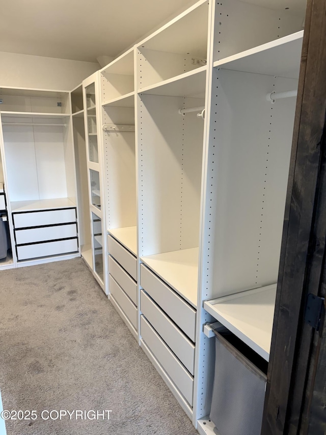 spacious closet with light colored carpet