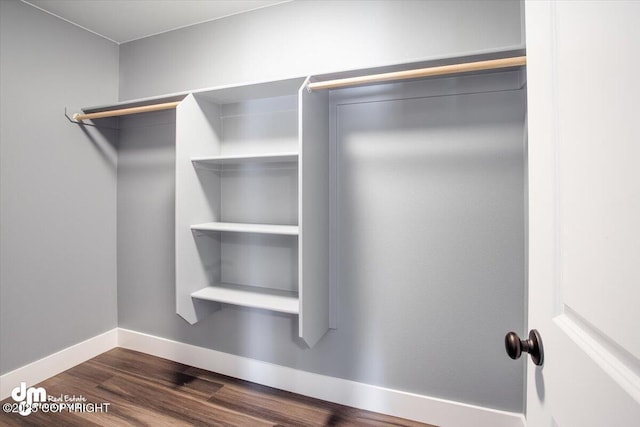 walk in closet with dark hardwood / wood-style flooring