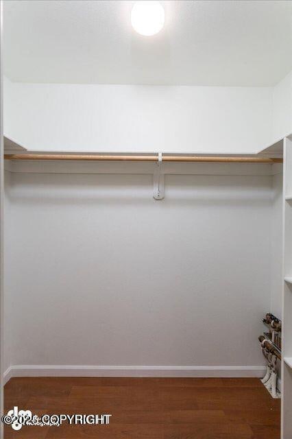 spacious closet with dark wood-type flooring