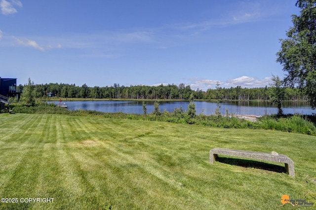 water view with a view of trees