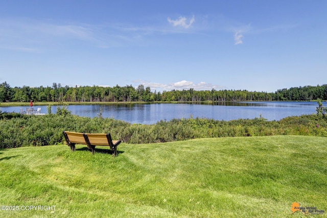 view of water feature featuring a forest view