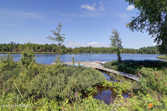 water view featuring a forest view