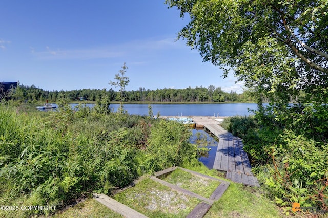 view of water feature featuring a dock