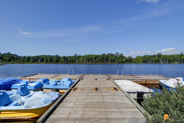 dock area with a forest view and a water view