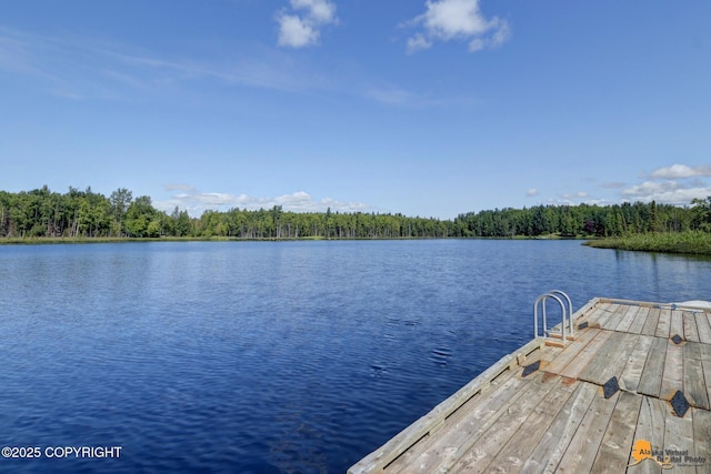 view of dock with a water view and a view of trees