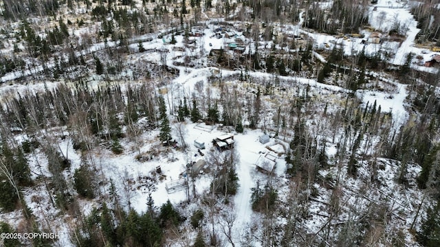 view of snowy aerial view