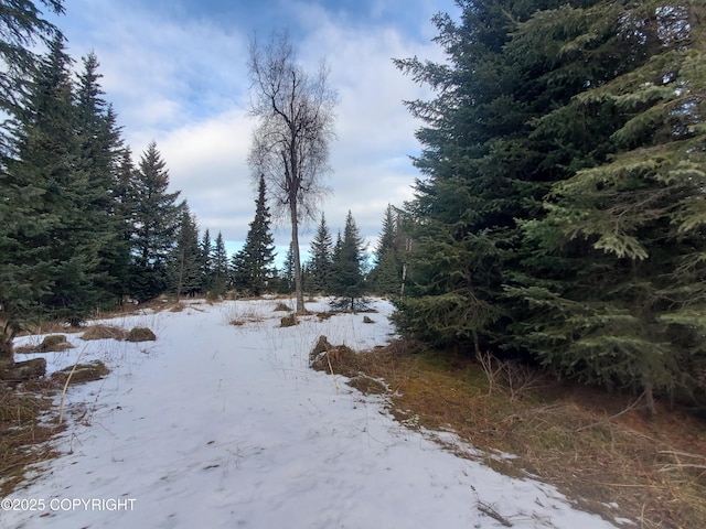 17617 Kimeluk St, Ninilchik AK, 99639 land for sale