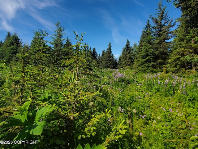 17617 Kimeluk St, Ninilchik, AK 99639 - photo 1