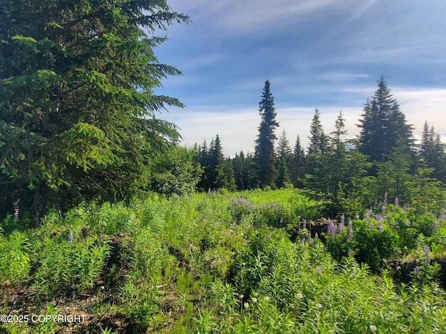 17617 Kimeluk St, Ninilchik, AK 99639 - photo 3