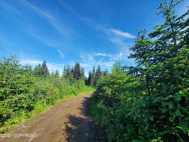 17617 Kimeluk St, Ninilchik, AK 99639 - photo 2
