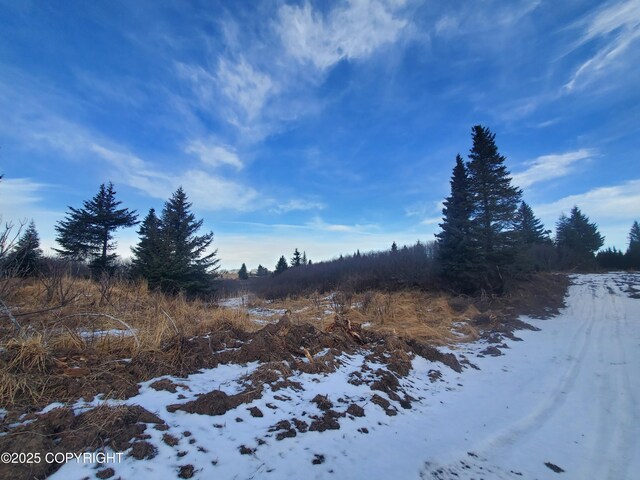 17657 Chefornak St, Ninilchik, AK 99639