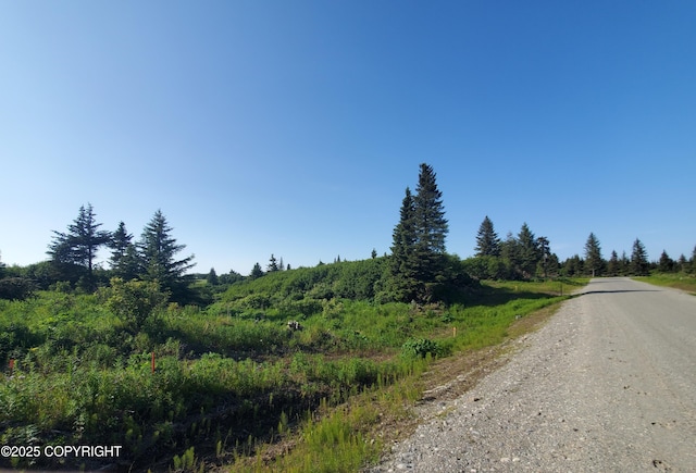 17657 Chefornak St, Ninilchik, AK 99639