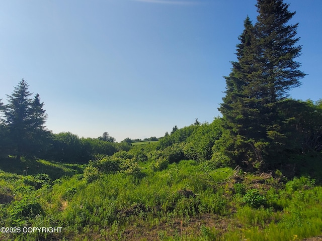 17657 Chefornak St, Ninilchik, AK 99639