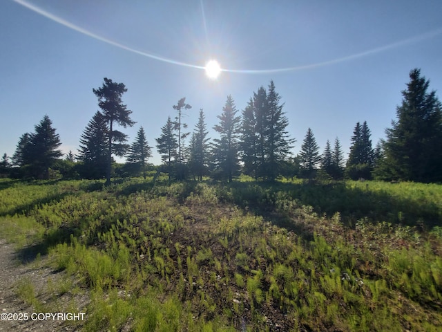 17619 Chefornak St, Ninilchik, AK 99639