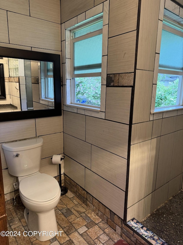 bathroom with plenty of natural light and toilet