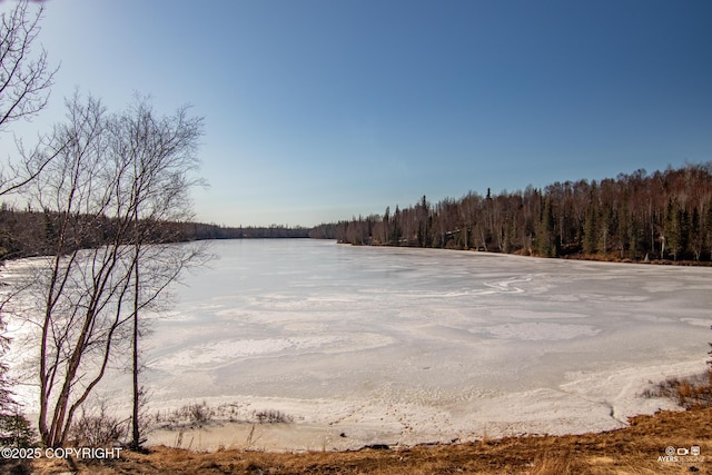 property view of water featuring a wooded view