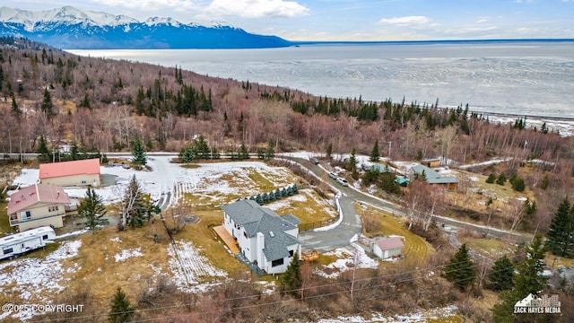 drone / aerial view featuring a mountain view