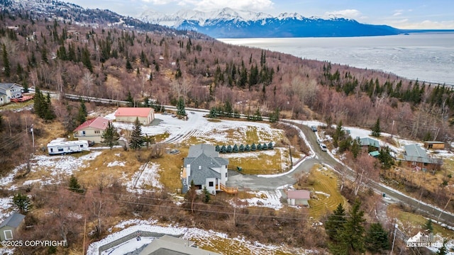 birds eye view of property featuring a mountain view