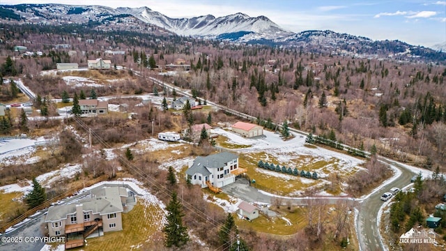 bird's eye view with a mountain view