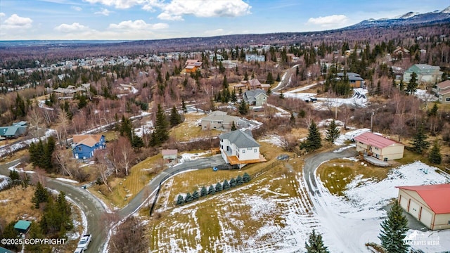 birds eye view of property featuring a mountain view