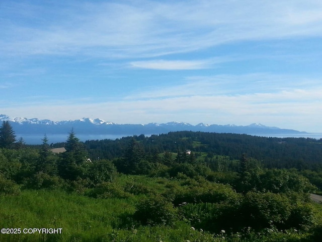 41650 Charlie Dr, Homer, AK 99603 - view of mountain backdrop featuring a heavily wooded area