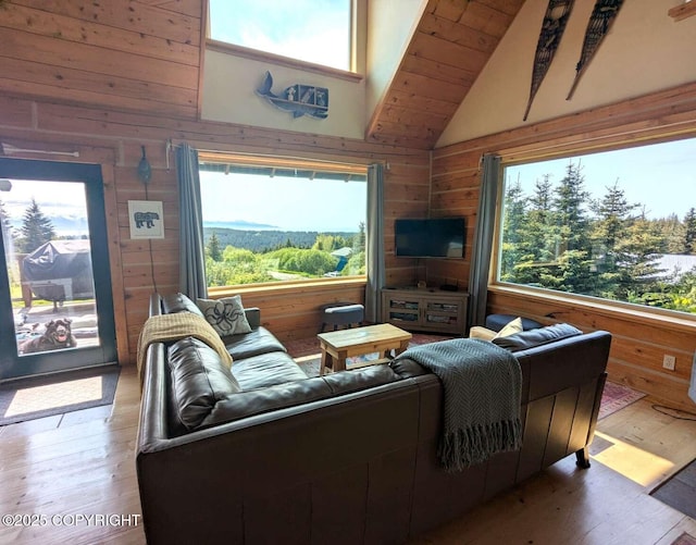 41650 Charlie Dr, Homer, AK 99603 - living room with lofted ceiling, wood walls, and hardwood / wood-style flooring