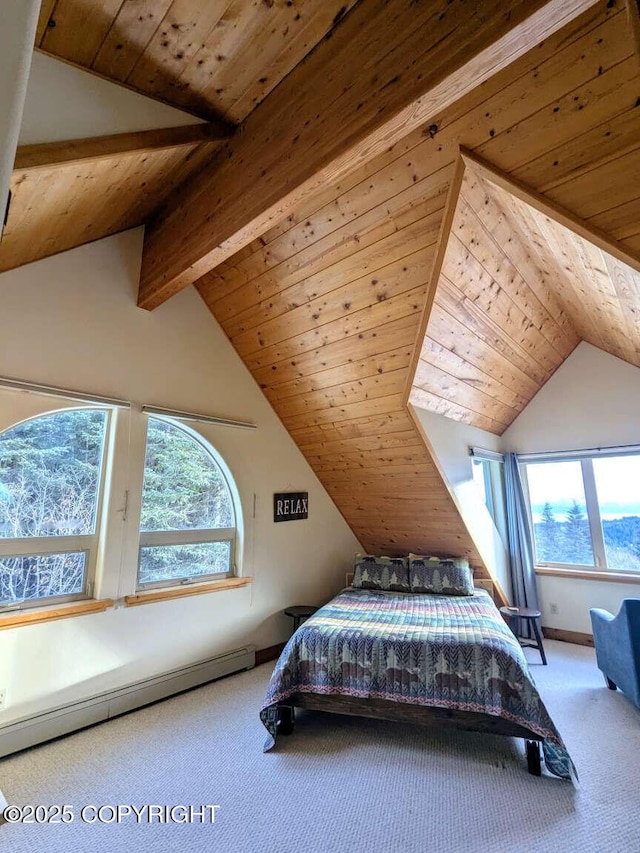 41650 Charlie Dr, Homer, AK 99603 - carpeted bedroom with baseboard heating, multiple windows, and wood ceiling