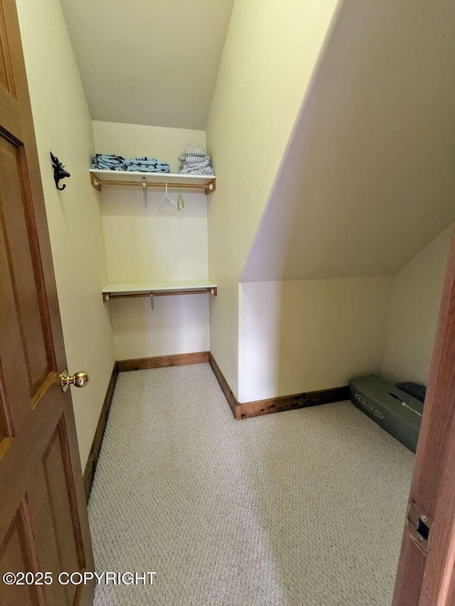 41650 Charlie Dr, Homer, AK 99603 - spacious closet with carpet floors