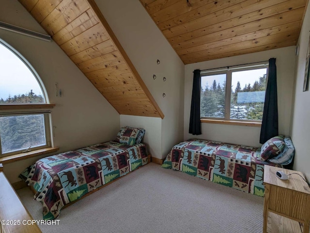 41650 Charlie Dr, Homer, AK 99603 - bedroom with vaulted ceiling, carpet floors, and wood ceiling