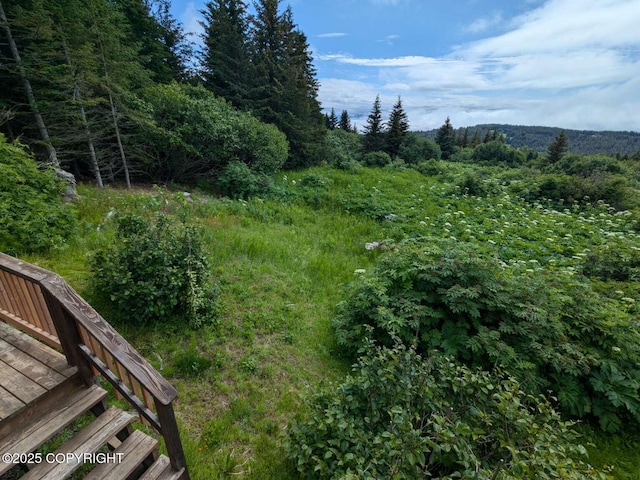 41650 Charlie Dr, Homer, AK 99603 - view of yard featuring a forest view