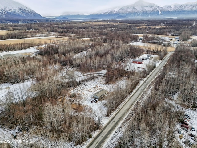 5925 Britchenstrap Dr, Palmer AK, 99645 land for sale