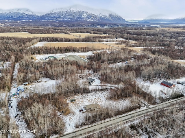 Listing photo 2 for 5925 Britchenstrap Dr, Palmer AK 99645