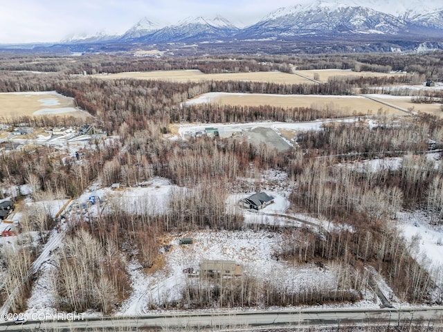 Listing photo 3 for 5925 Britchenstrap Dr, Palmer AK 99645