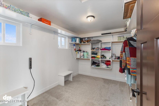 walk in closet featuring carpet floors