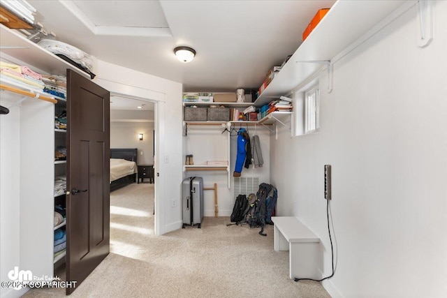 walk in closet with light carpet