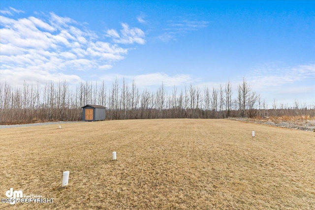 view of yard featuring a shed and an outdoor structure