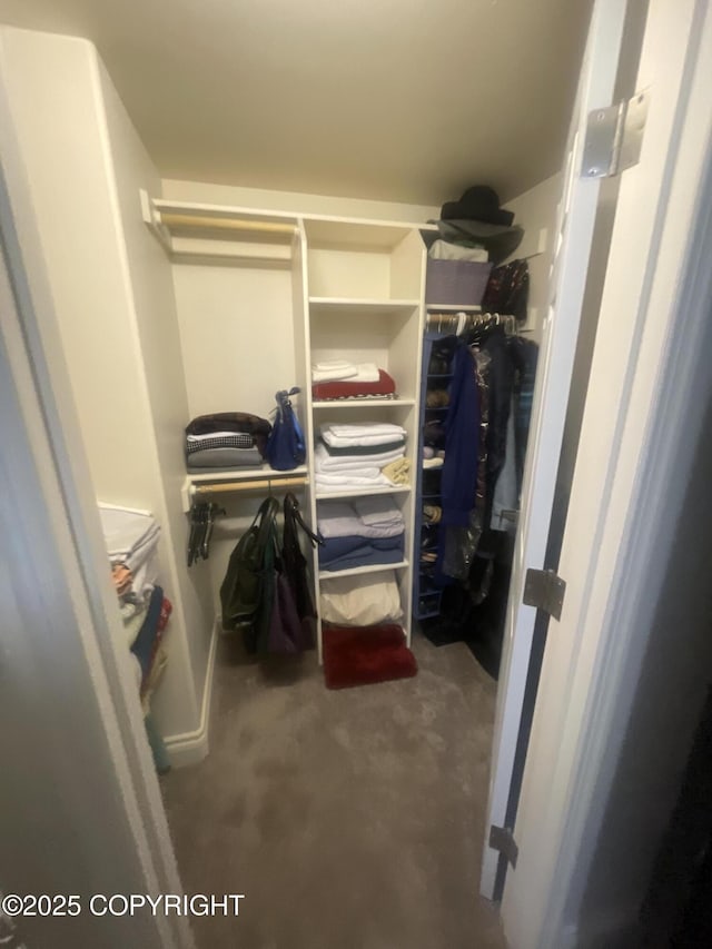 view of spacious closet