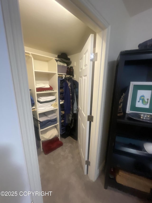 view of walk in closet