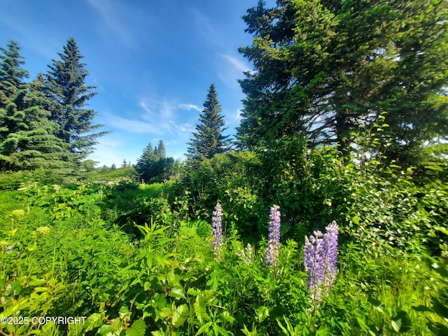 17664 Chefornak St, Ninilchik, AK 99639
