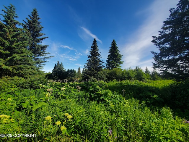 17664 Chefornak St, Ninilchik, AK 99639
