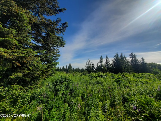 17664 Chefornak St, Ninilchik, AK 99639