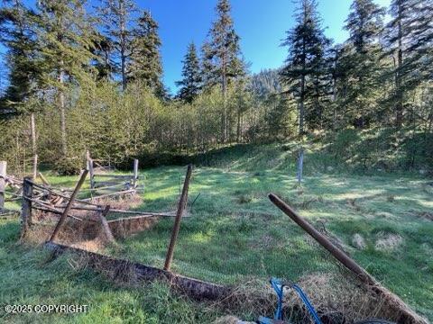 469 Mitkof Hwy, Petersburg, AK 99833 - view of green lawn