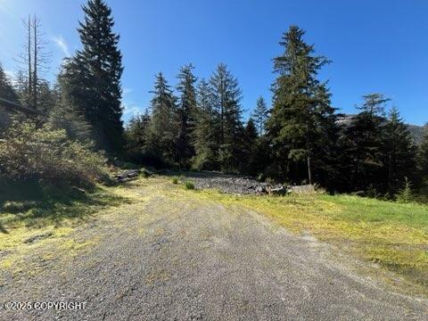 469 Mitkof Hwy, Petersburg, AK 99833 - view of street with a wooded view