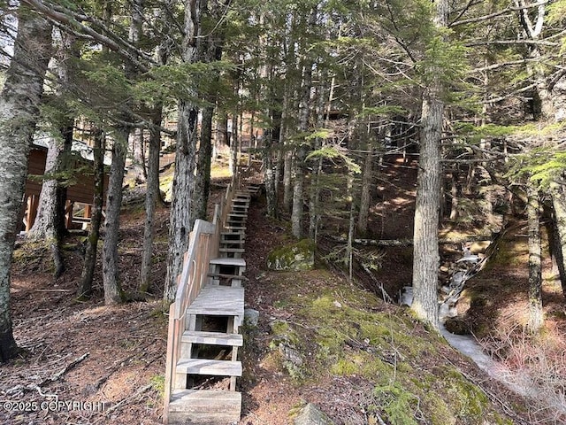 944 Young Rd, Haines, AK 99827 - photo 24