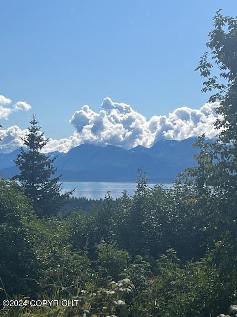 000 Bench Cir, Homer AK, 99603 land for sale